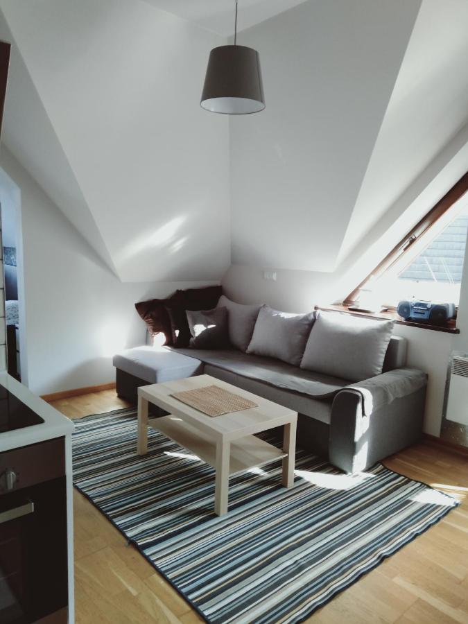 Apartament Kasprowy Jaszczurowka Zakopane Exterior photo